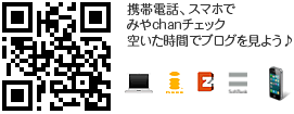 携帯電話、スマホでみやchanチェック空いた時間でブログを見よう♪